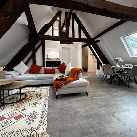 Charme, Poutres Et Elegance Apartment Chartres Bagian luar foto